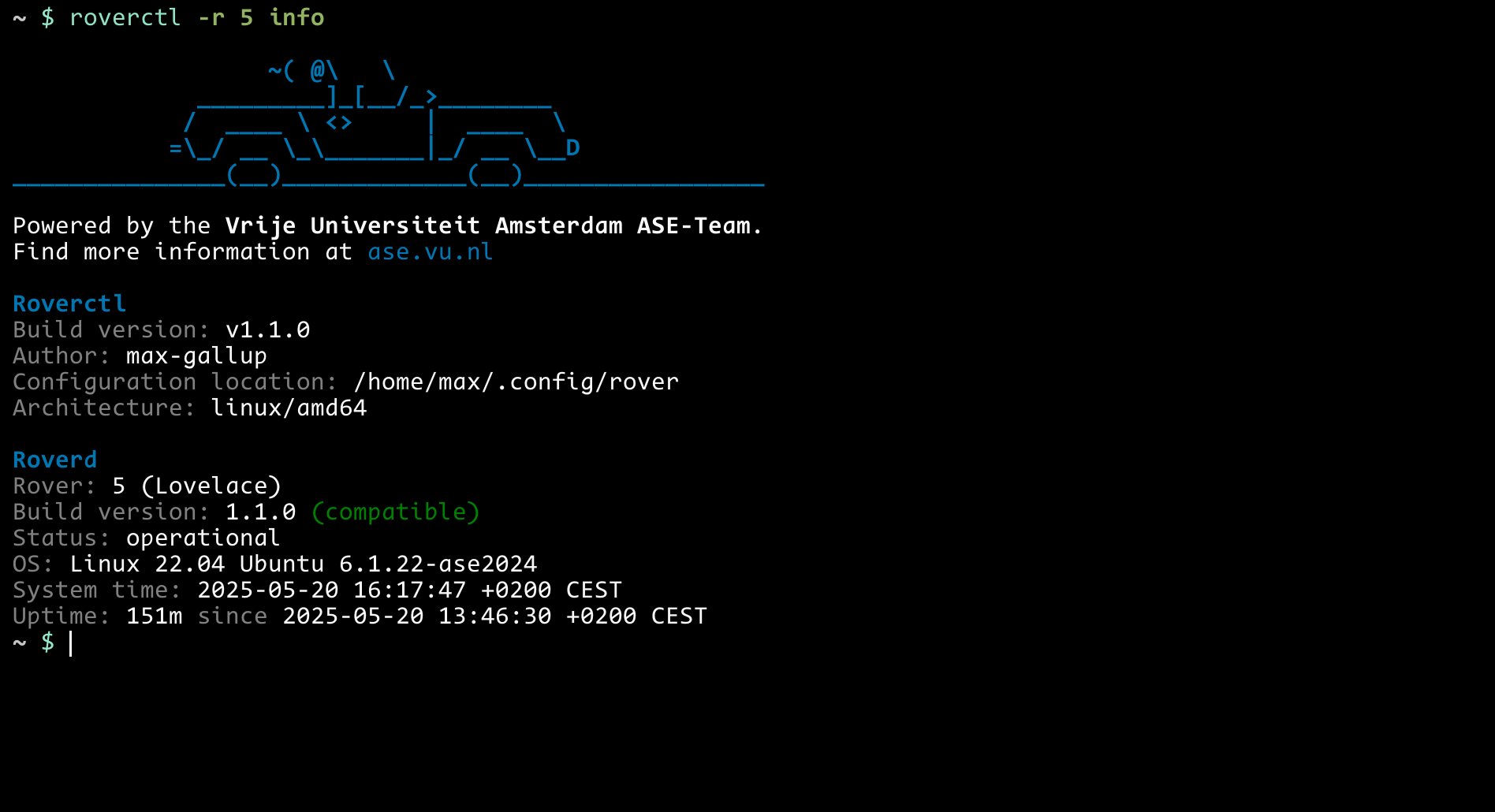Screenshot of using roverctl info
